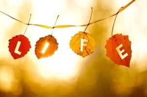 life as a freelance dental writer